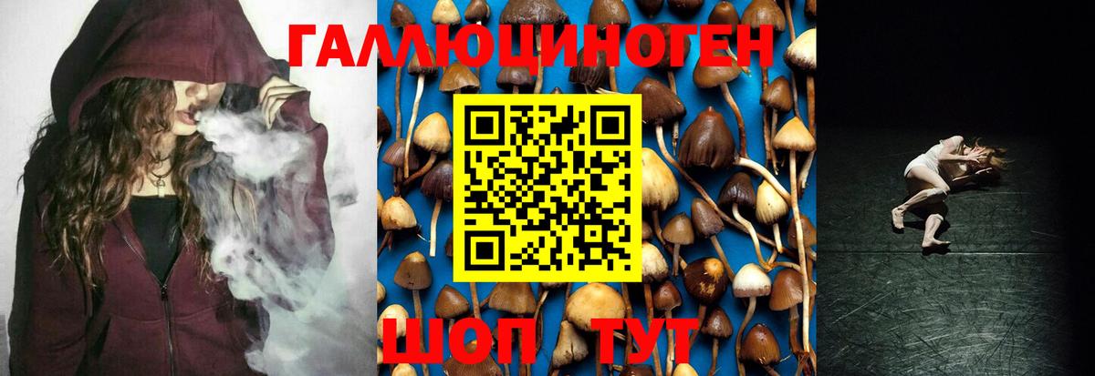 Лениногорск  Псилоцибиновые грибы Cubensis  Вход с VPN 
