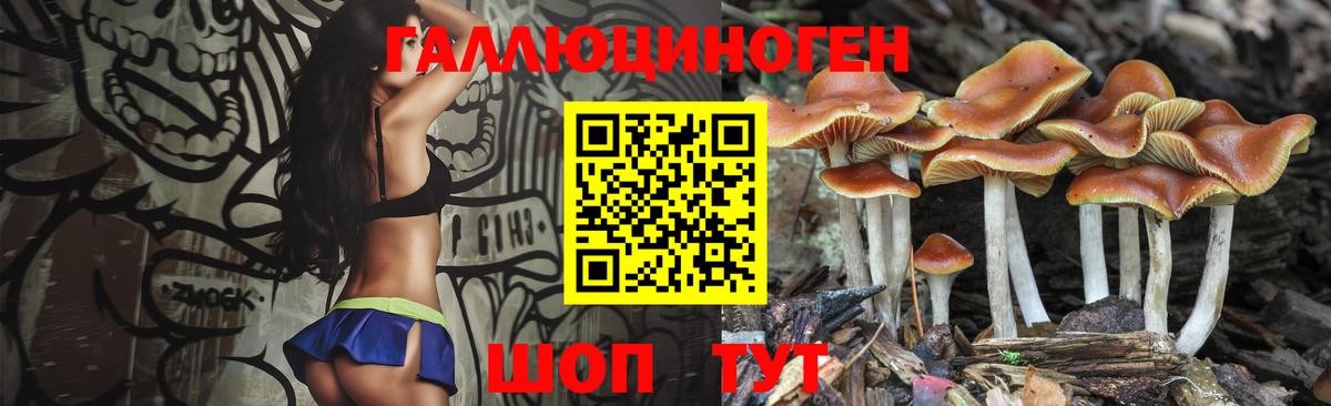 Галлюциногенные грибы Magic Shrooms Лениногорск
